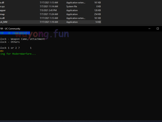 使命召唤17 解锁机器码限制工具