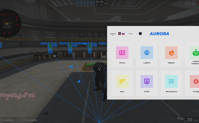 CSGO Aurora 视觉 | 自瞄 | 暴力 | 皮肤 | 杂项