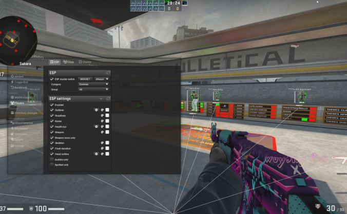CSGO Sakara 功能齐全的合法演技免费辅助 v1.3