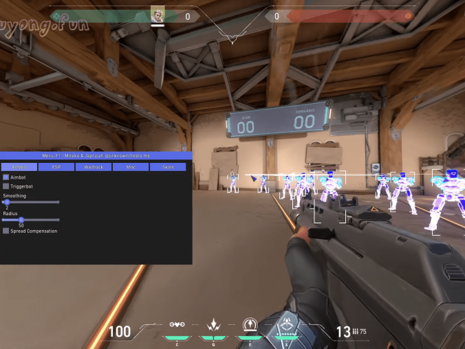 Valorant 瓦罗兰特 免费内部辅助 自瞄 | 透视 | 上色 | 杂项 | 皮肤