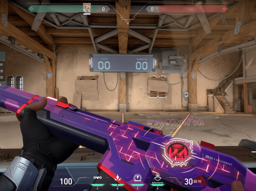 Valorant 瓦罗兰特 免费皮肤解锁工具 v1.7.2