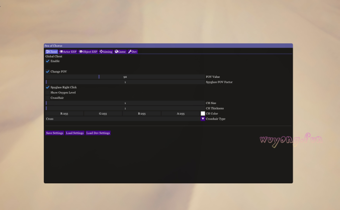 Sea of Thieves 盗贼之海 SoT-Hook 修改版 免费辅助