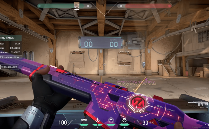 Valorant 瓦罗兰特 免费皮肤解锁工具 v1.7.2