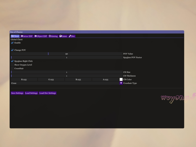 Sea of Thieves 盗贼之海 SoT-Hook 修改版 免费辅助