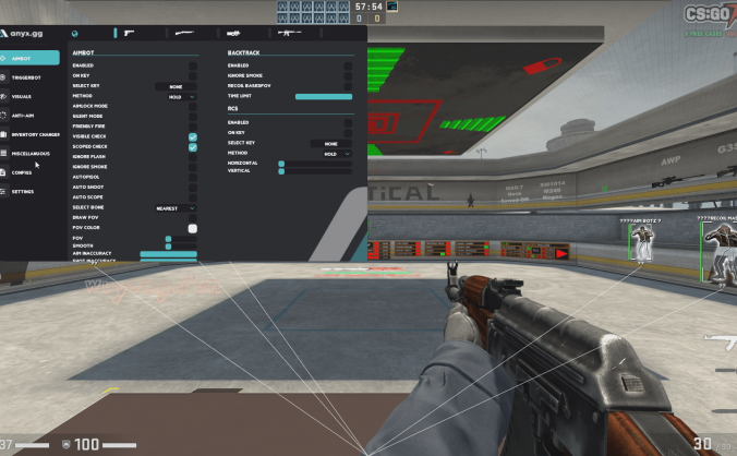 CSGO anyx.gg 破解版 自瞄 | 视觉 | 皮肤 | 杂项